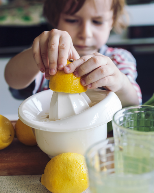 Brew & Forage: 3 Kid-Friendly Kombucha Recipes You Can Gather From Nature
