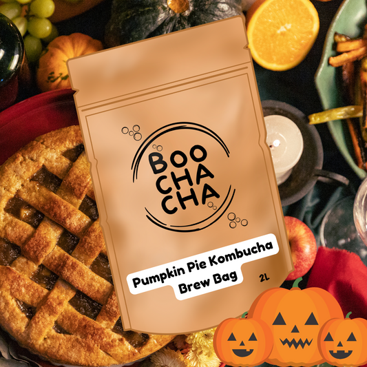 Pumpkin Pie Kombucha Brew Bag
