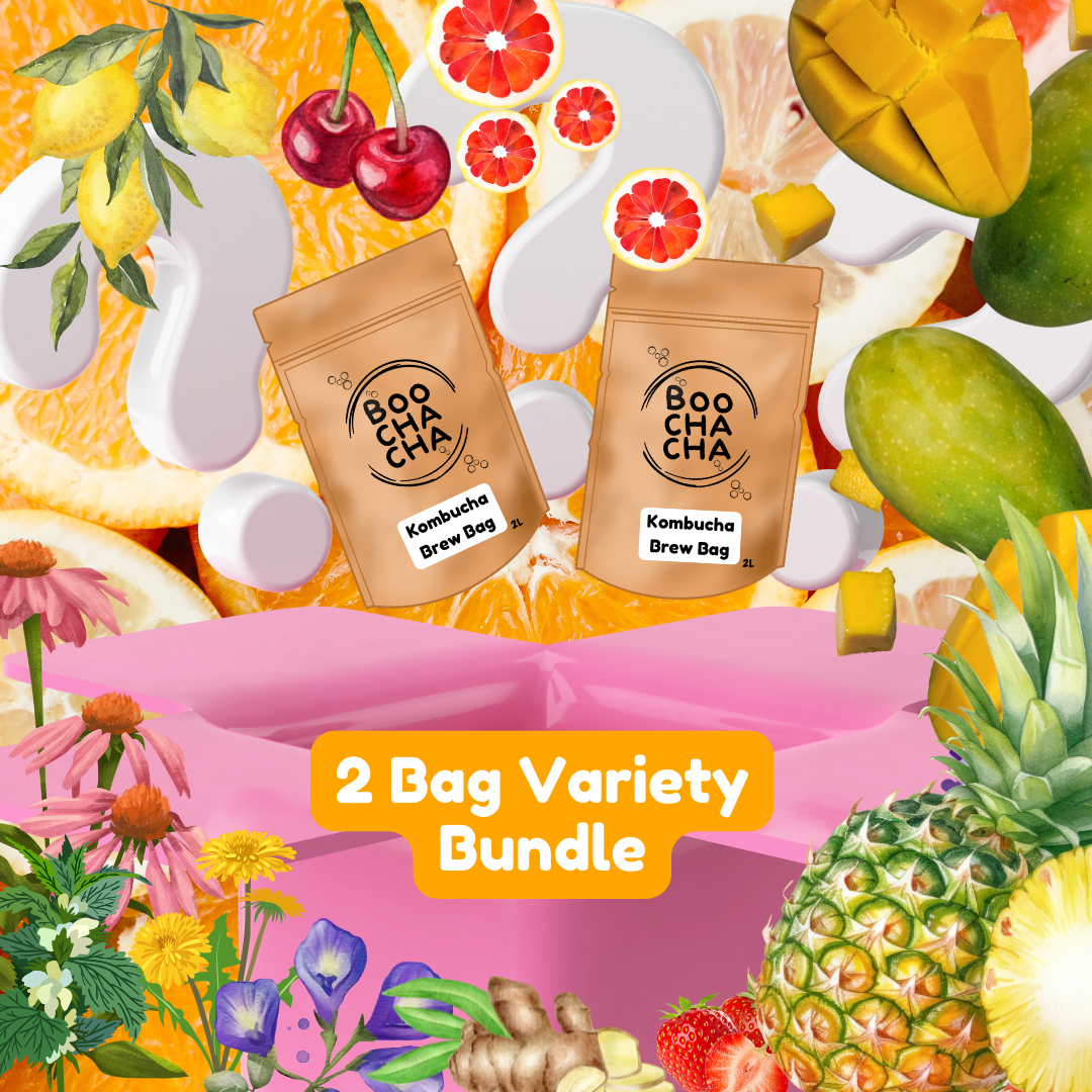 Luxury Kombucha Starter Kit - Gift Set