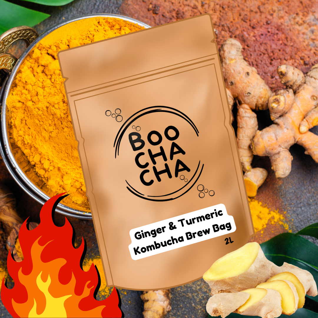 Ginger & Turmeric Kombucha-Brew-Bag