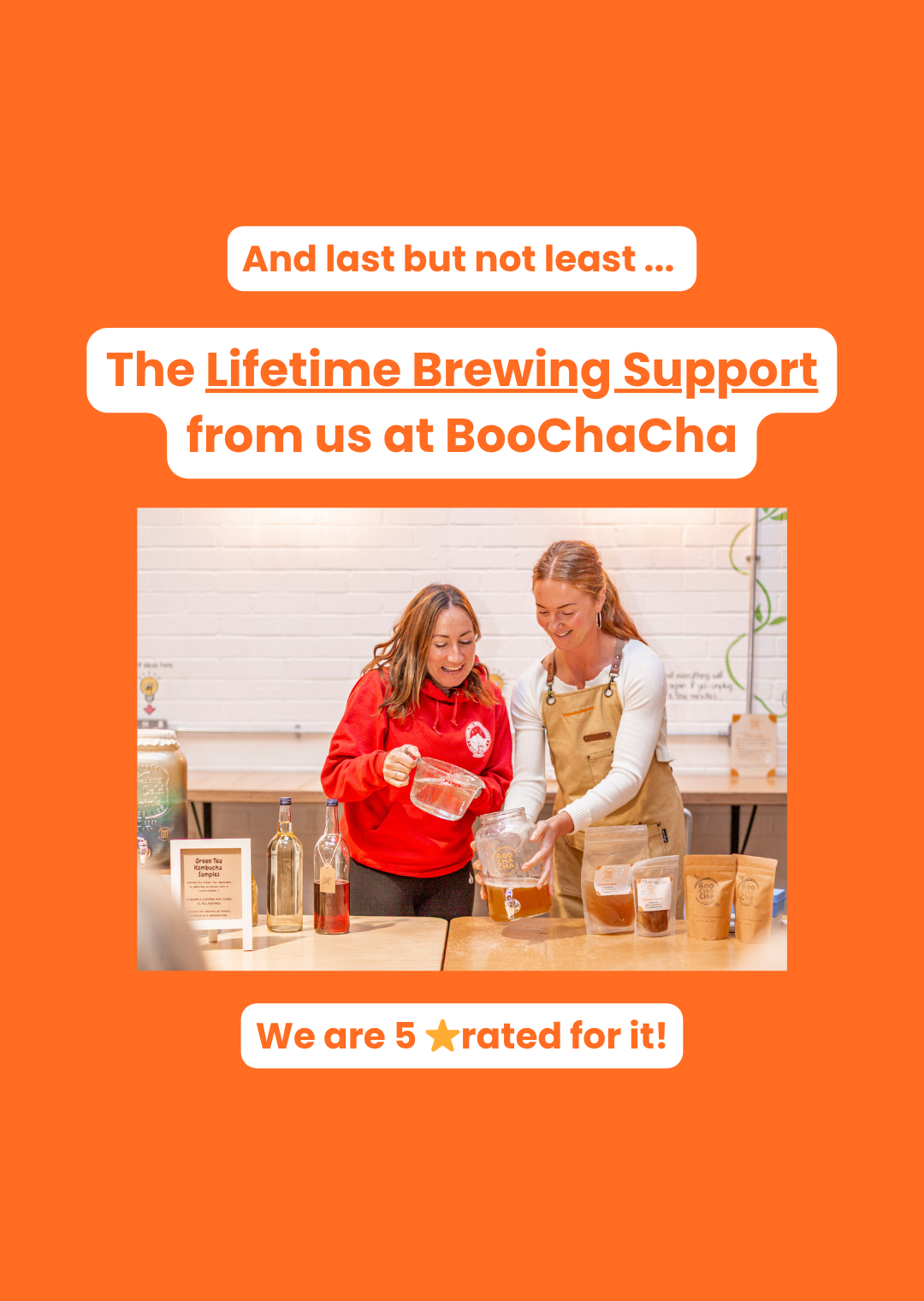 lifetime brewing support from boochacha,  star customer service, kombucha brewing help