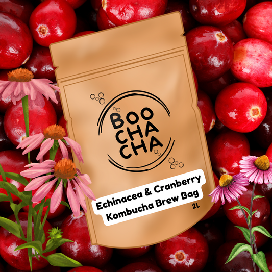 Echinacea & Cranberry Kombucha Brew Bag