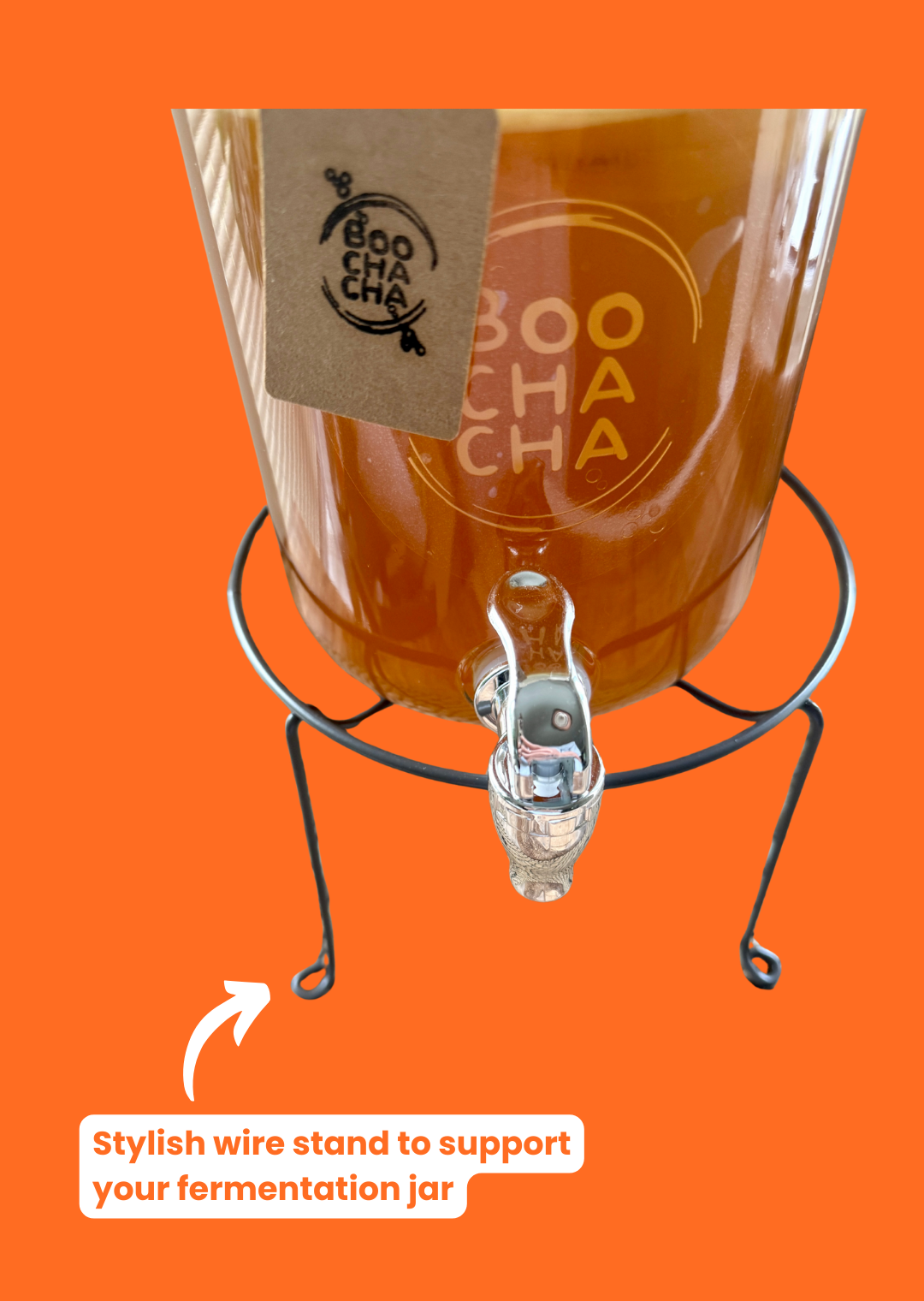 Luxury Kombucha Starter Kit - Gift Set