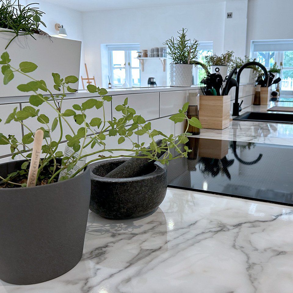 Kombucha Home Brewing & Infusing Workshop at The Retreat