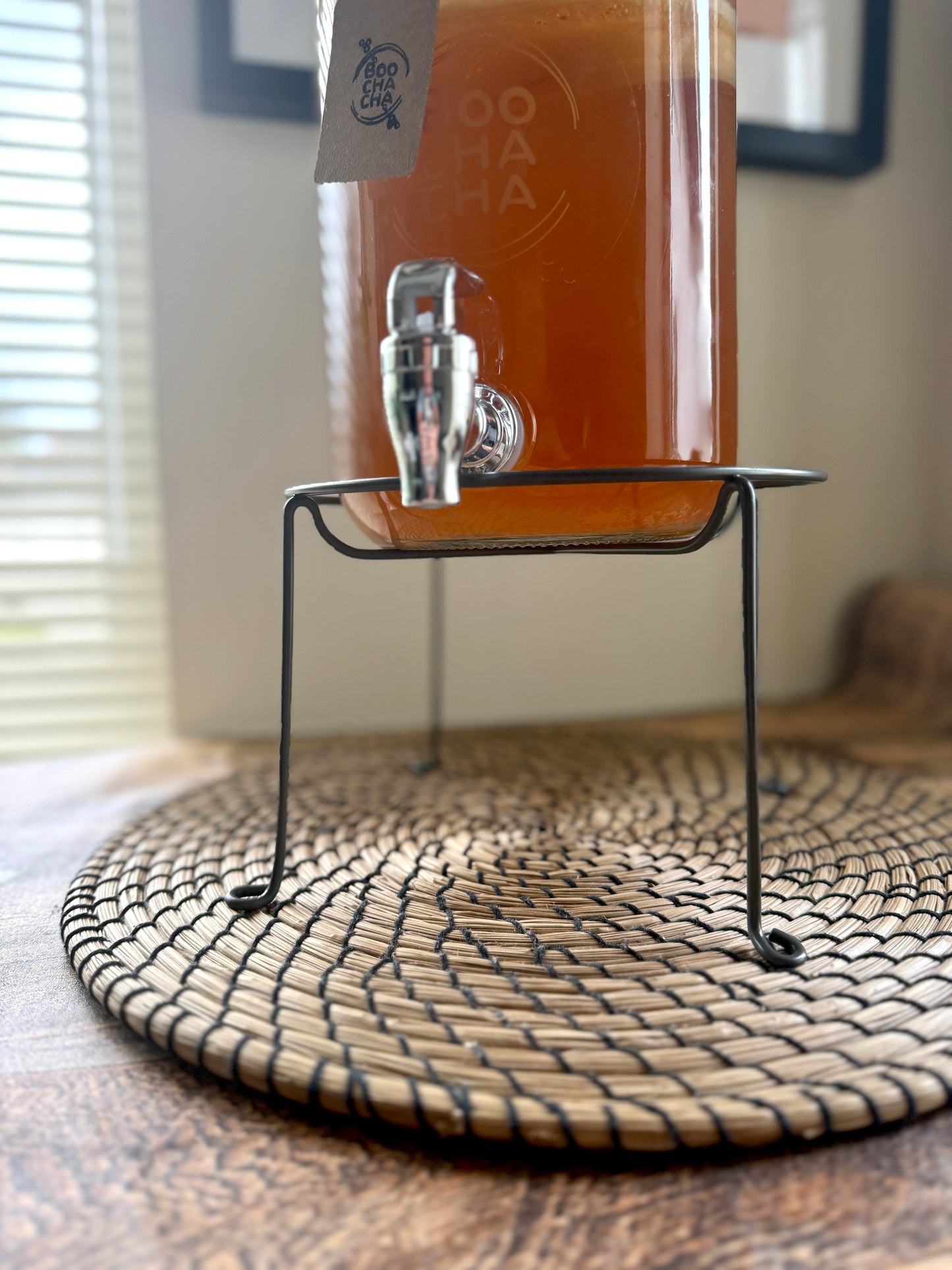 Luxury Kombucha Kit Gift Set