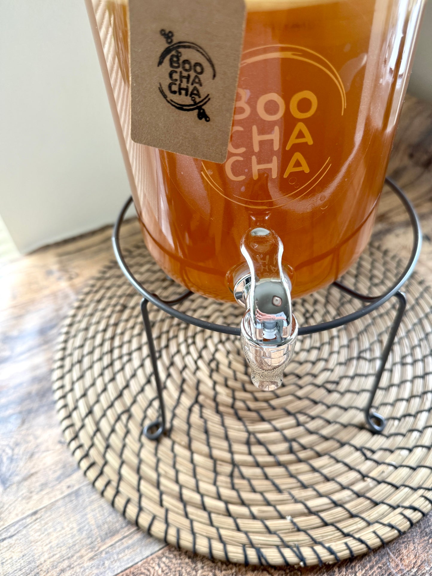 Luxury Kombucha Kit Gift Set