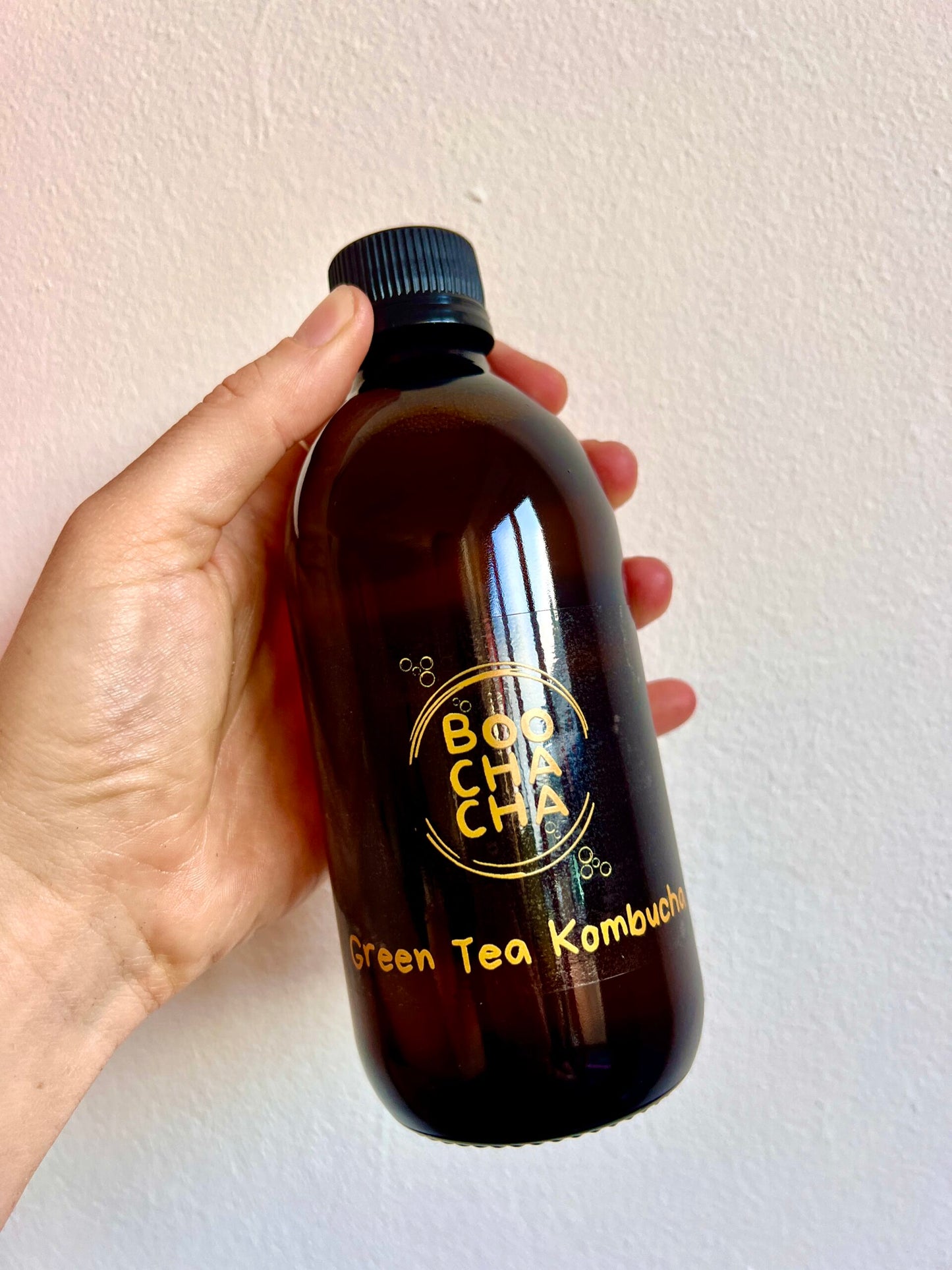 The Kombucha Collective Online Catch Up