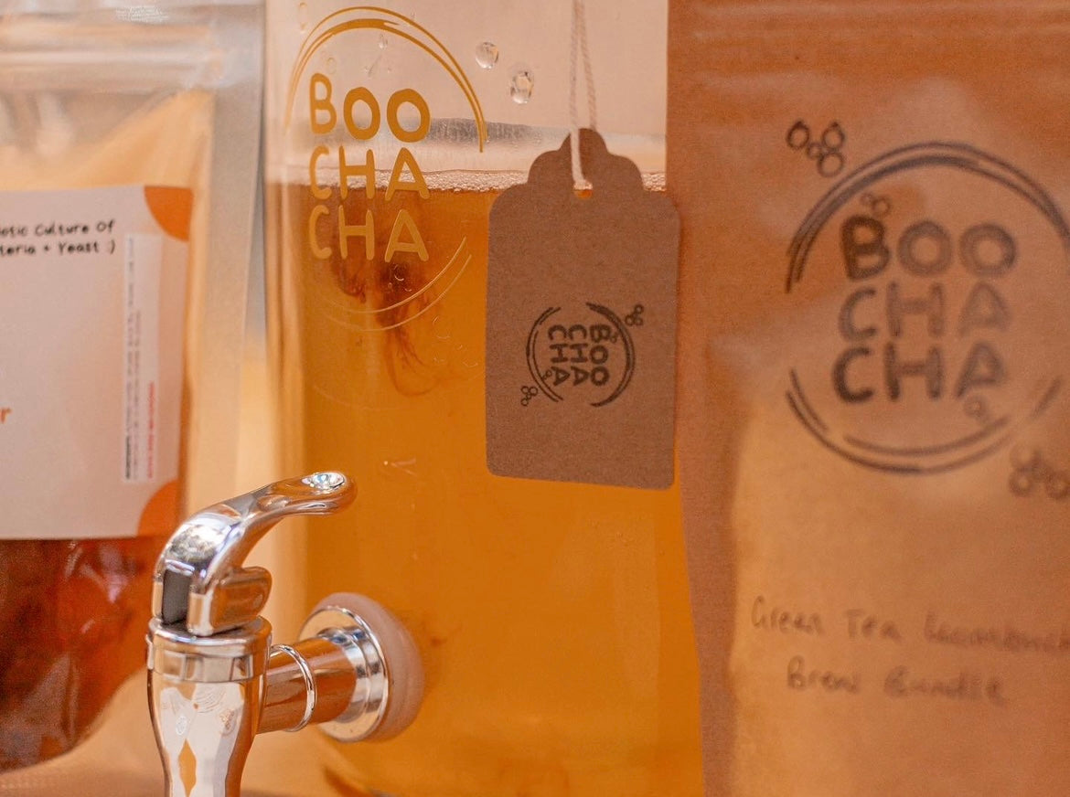 Photo of boochacha complete kombucha starter kit in action, with scoby floating around, and bundles of tea in background, with branding and bright colours - boochacha