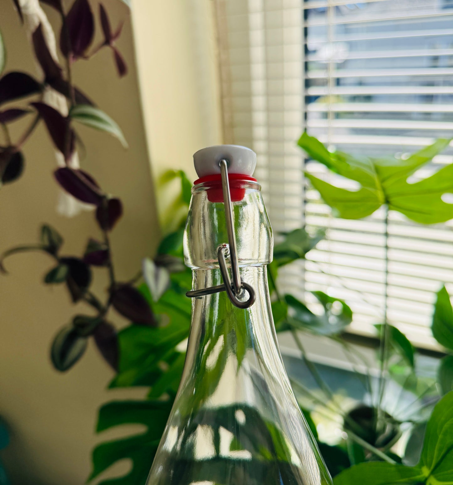 Clip Top 1 Litre Glass Bottle