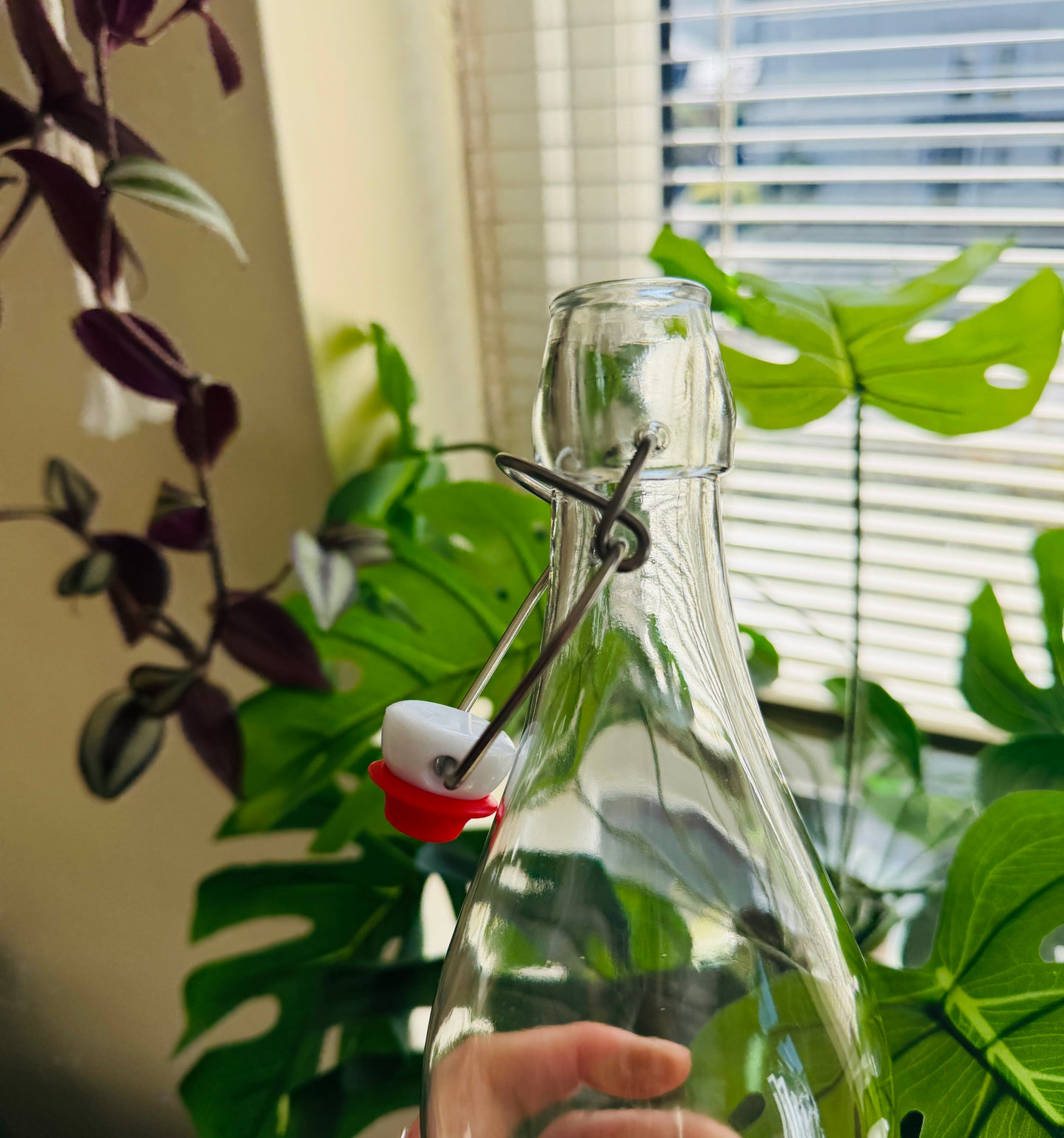 Clip Top 1 Litre Glass Bottle