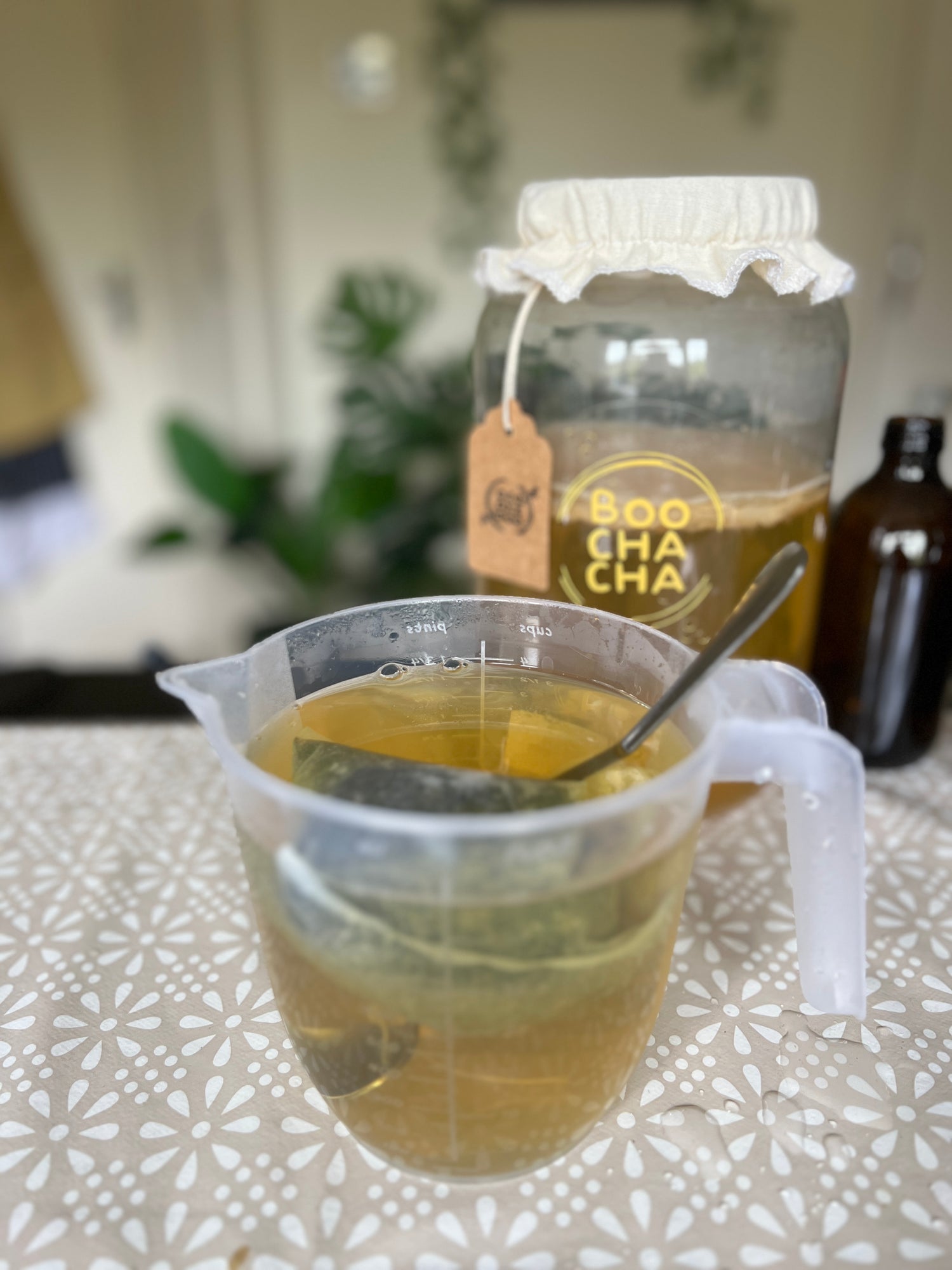 Continuous kombucha brew in action, refill of sweet tea happening - BooChaCha