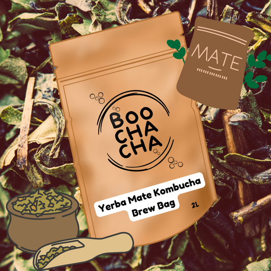 Yerba Mate Kombucha Brew-Bag