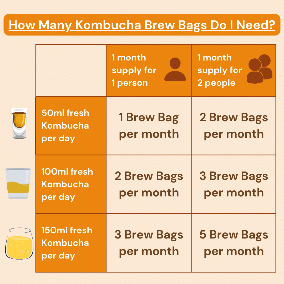 Ginger & Turmeric Kombucha-Brew-Bag