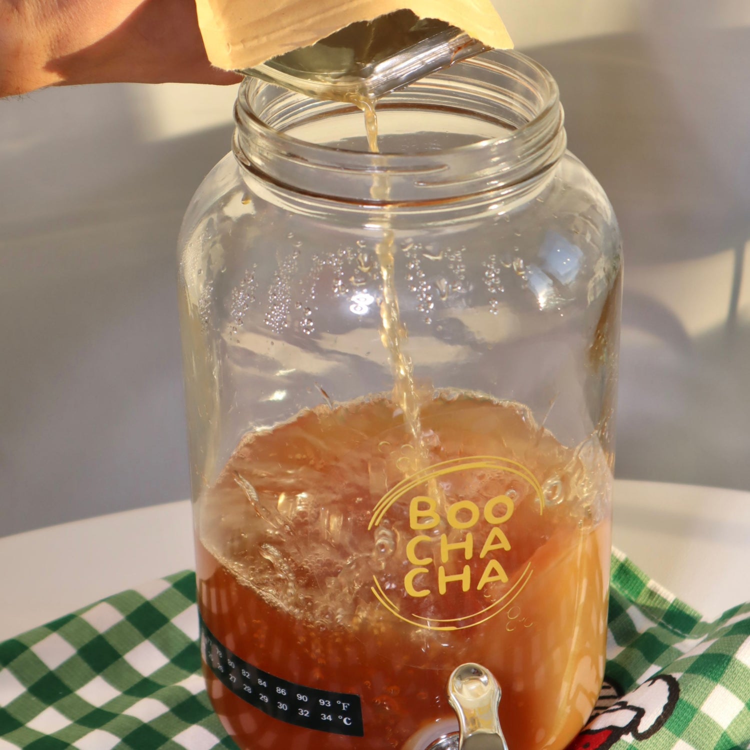 Photo of a complete kombucha starter kit from boochacha, with branding visible and bright, being set-up by a beginner, looking fun and vibrant - boochacha