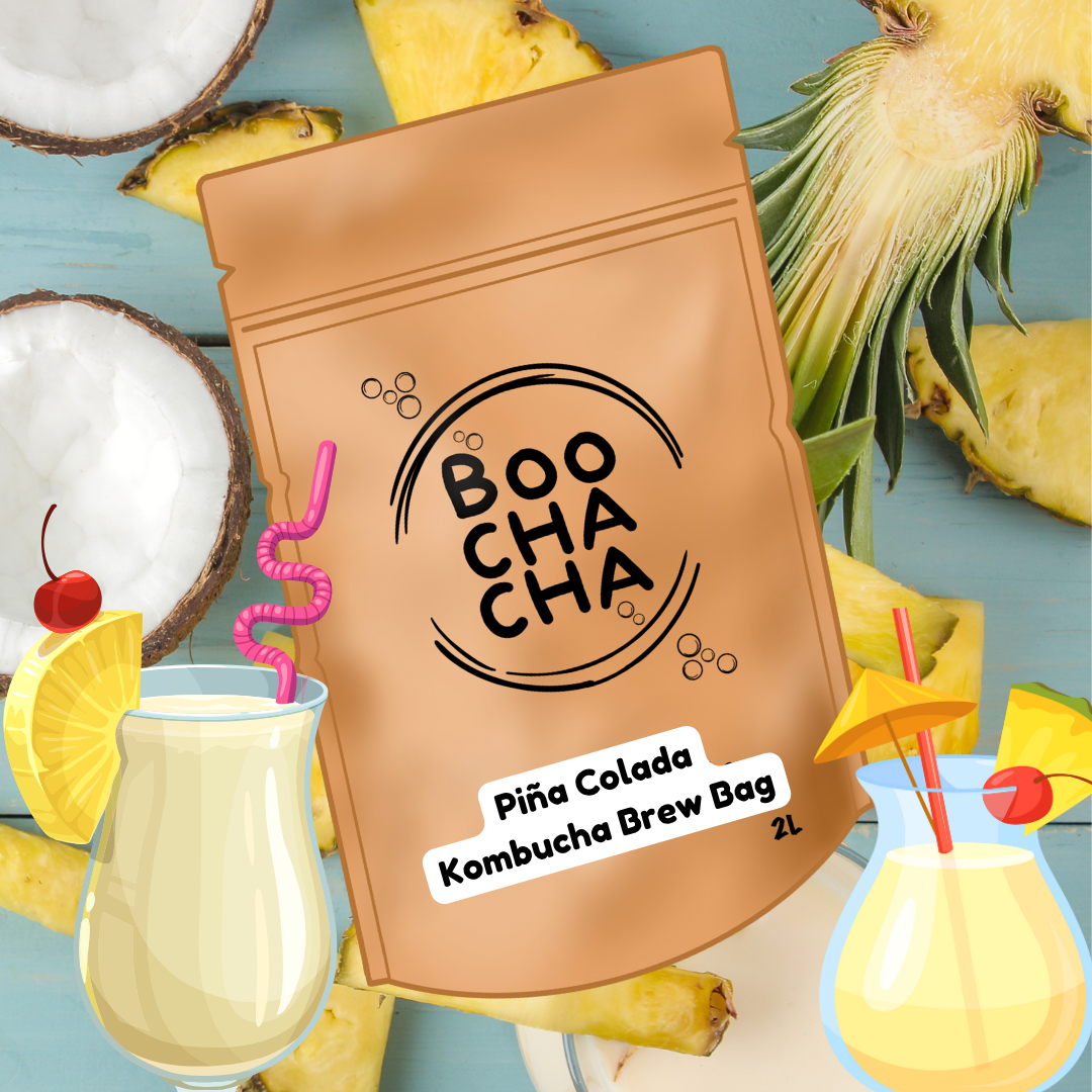 Piña Colada Kombucha Brew Bag