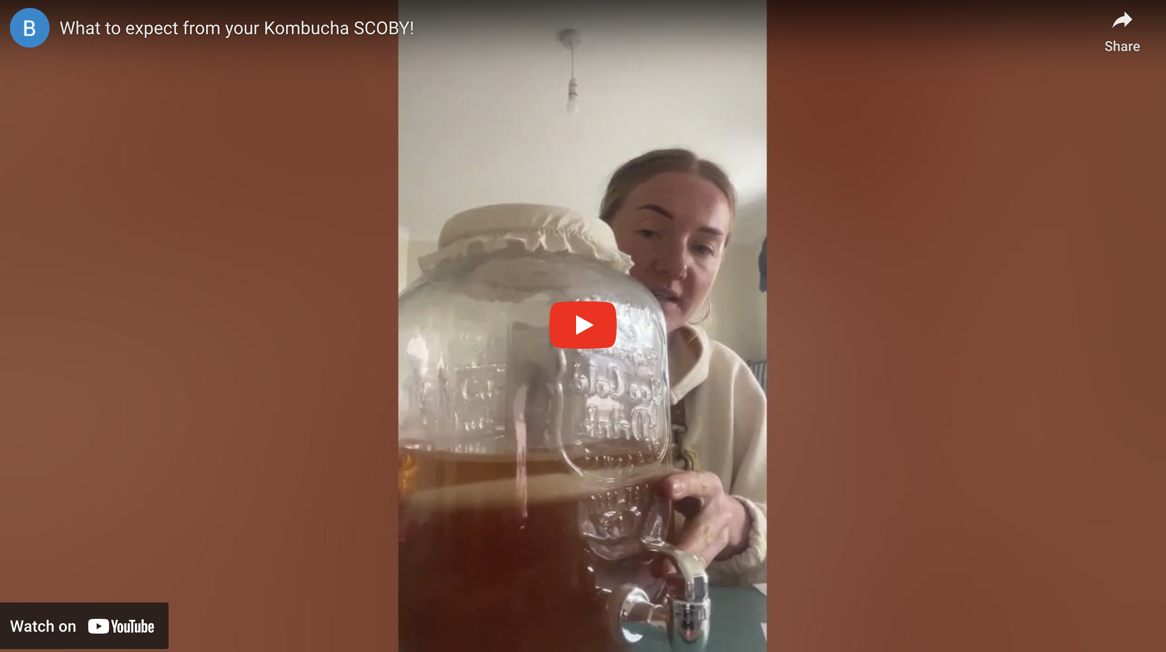 Load video: What to expect from your Kombucha SCOBY as you brew with a continuous kombucha brew kit from BooChaCha
