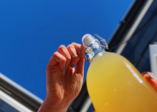 Debunking the Myth: The Safety of Home Brewed Kombucha