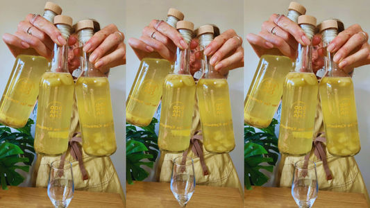 Turn Your Kombucha into White Wine