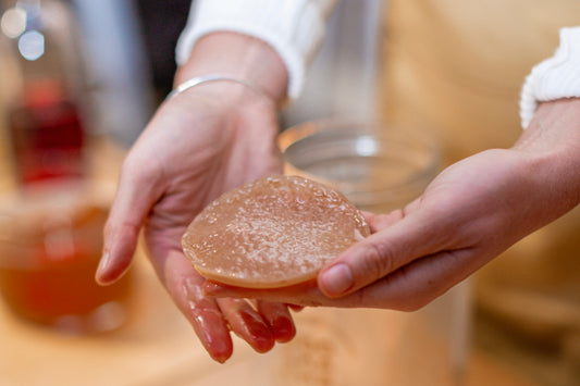Our proud founder holding up a baby scoby to brewing workshop students during a fermentation class, looks like a slimy little pancake - boochacha