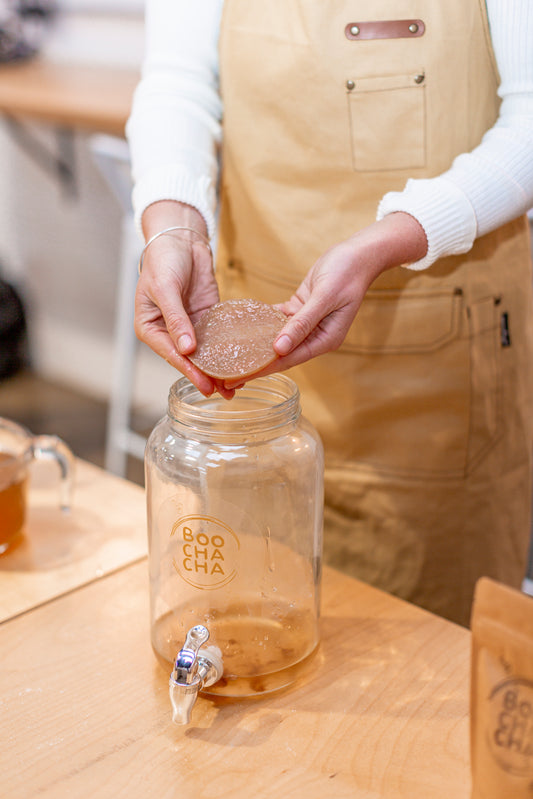 Our proud founder hebe, showing off a new baby scoby to a class of kombucha brewing students - boochacha