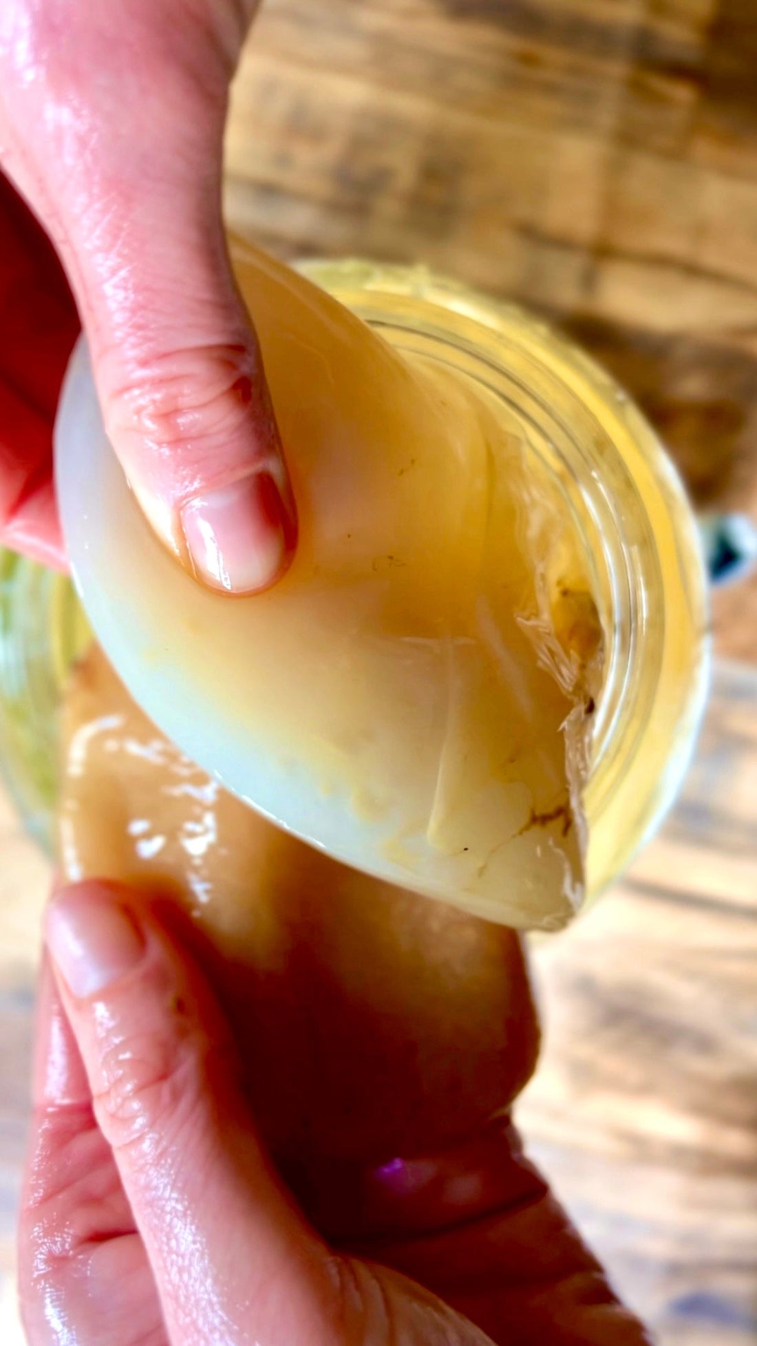 How to Split Your Kombucha SCOBY and Give Some to a Friend