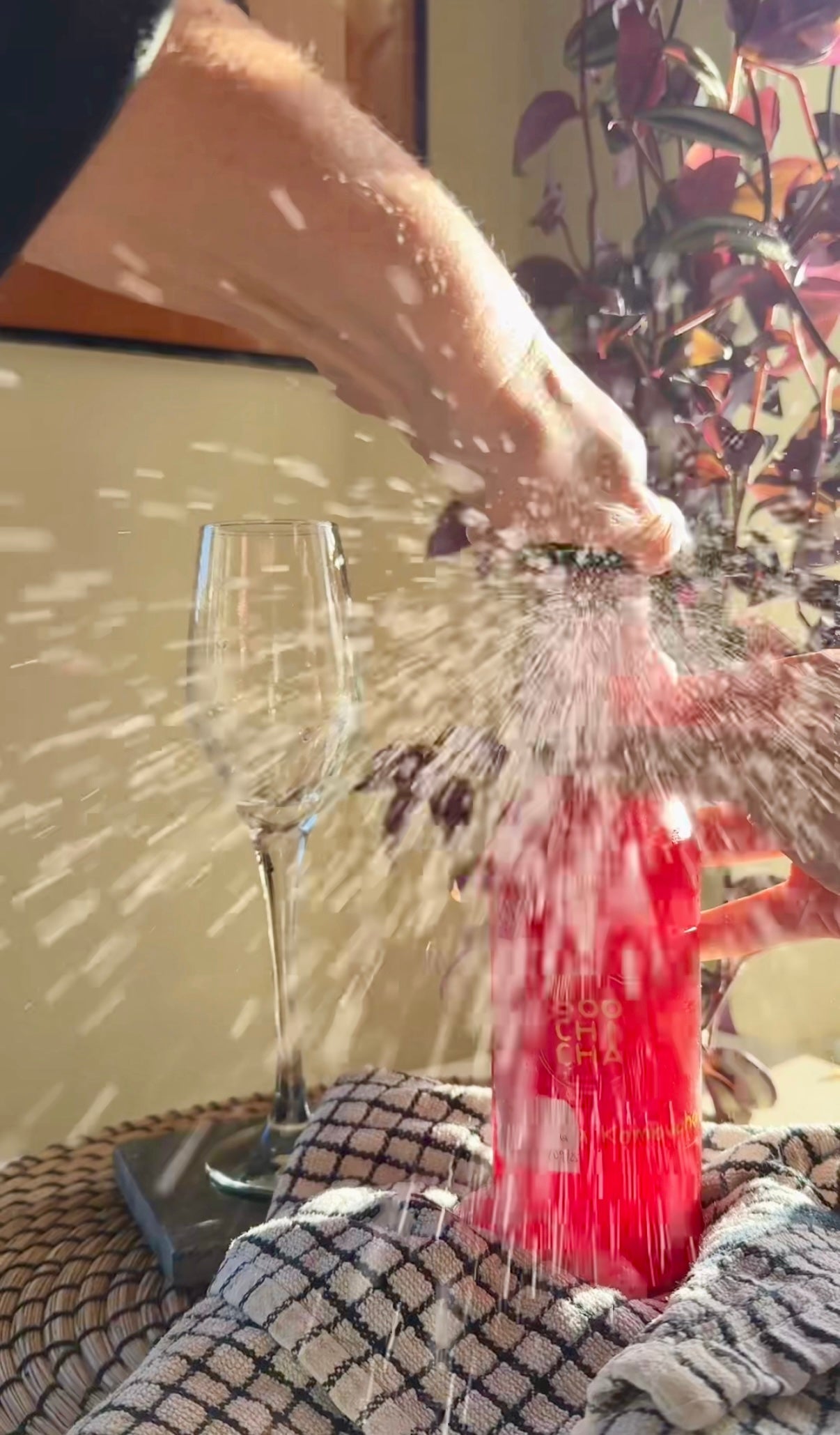 Why Kombucha Bottles Explode (And How To Stop It Happening) – BooChaCha Ltd