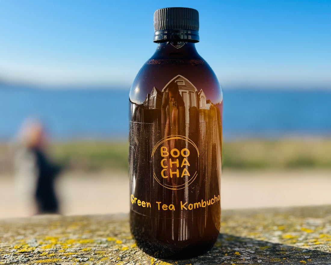 The Synergy of Homemade Kombucha and Walking: A Path to Health and Wellness