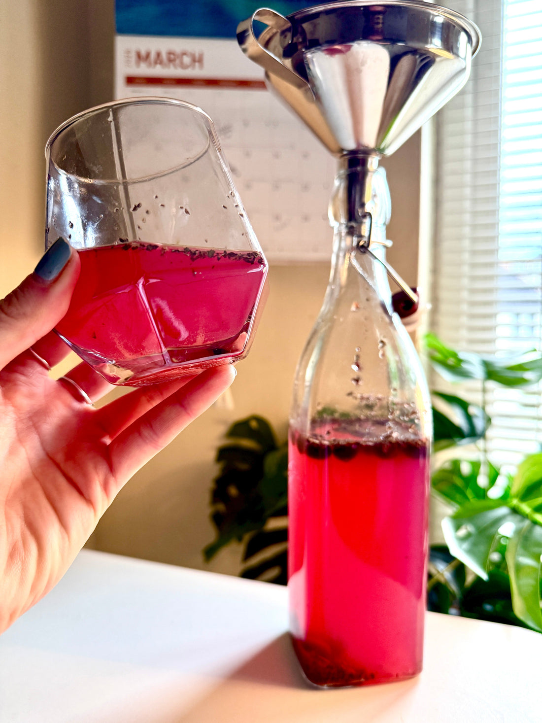 Using Herbal Tea to Brew Kombucha