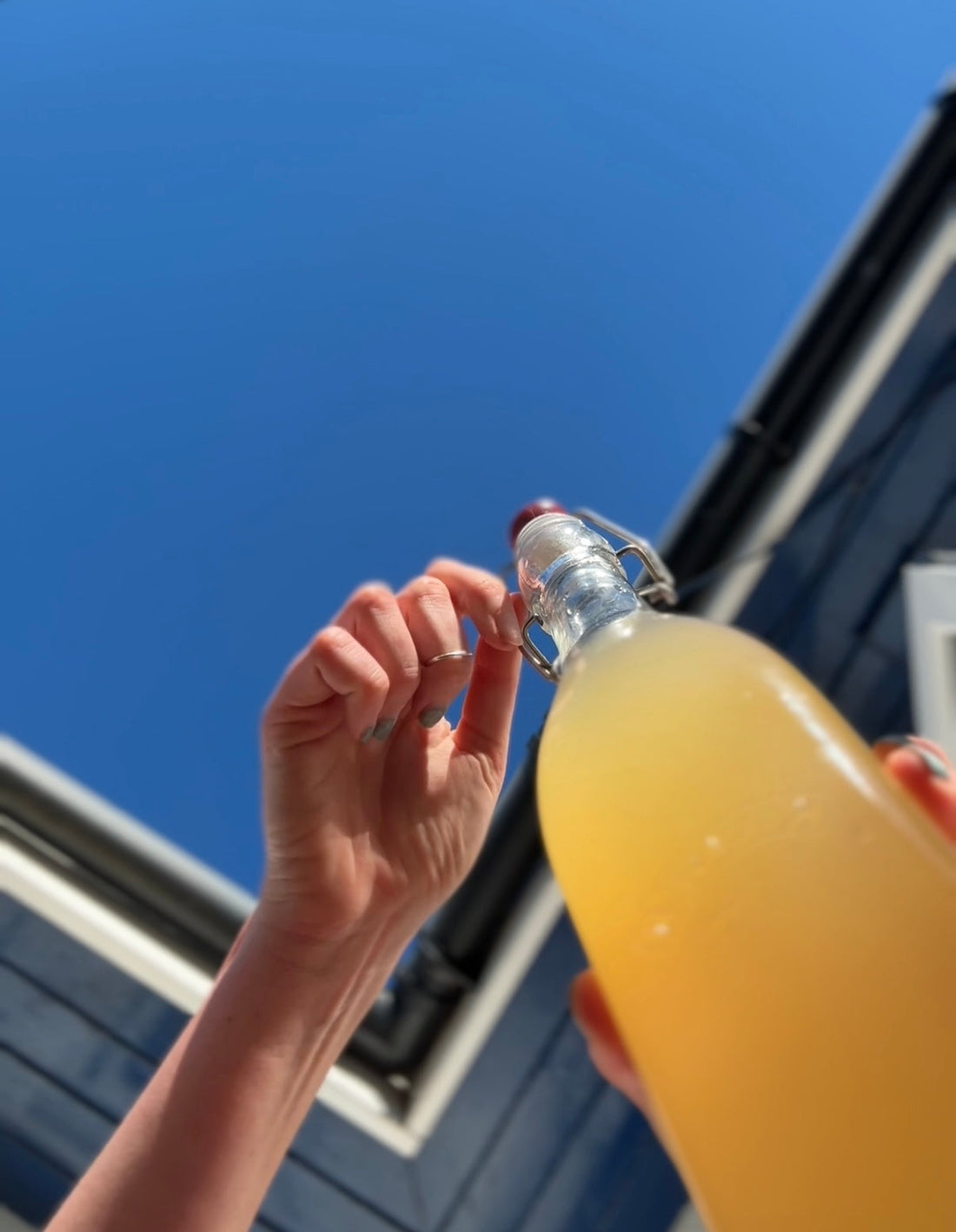 Why Now is the Perfect Time to Start Brewing Your Own Kombucha