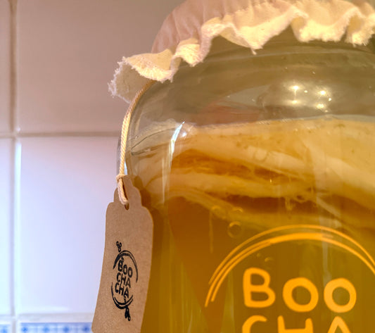 How Long Does a SCOBY Last? Care Tips and Fun Uses for Extras