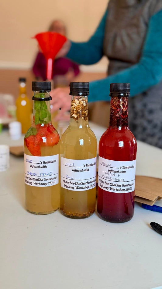 A Summer Holiday Activity That Keeps Growing: Make Kombucha With Your Kids