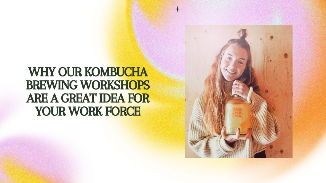 Boost Your Team's Gut Health with Our Kombucha Workshop – The Ultimate Corporate Wellness Event