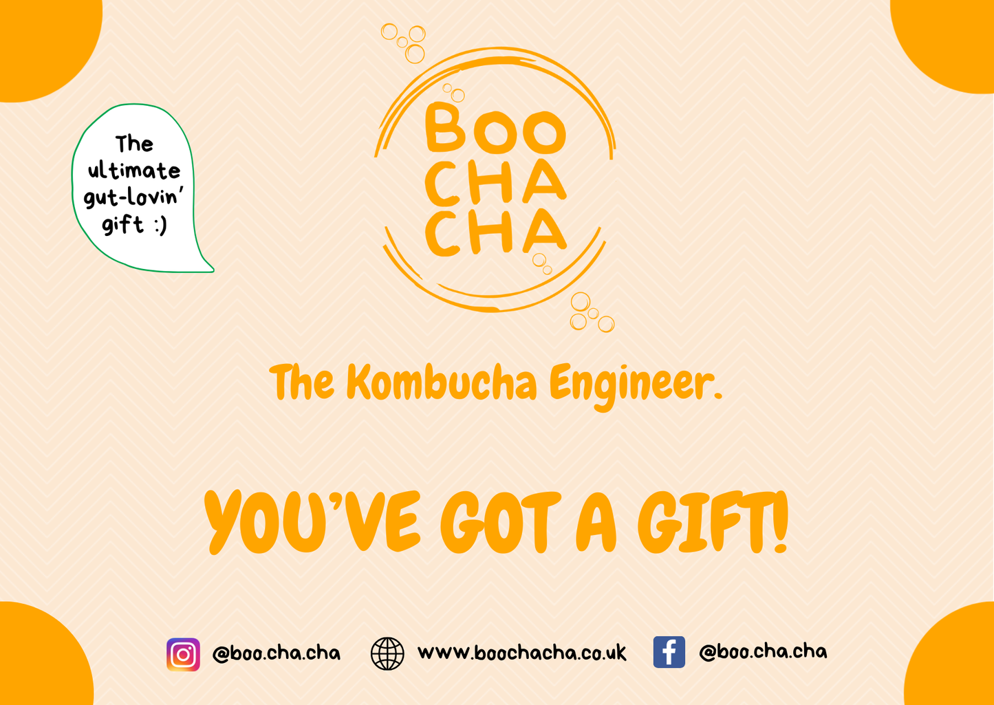 The Kombucha Collective Online Catch Up