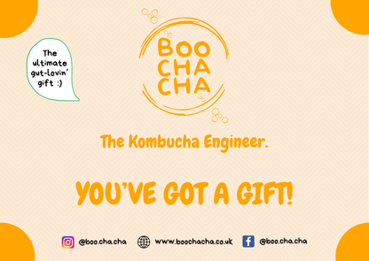 The Kombucha Collective Online Catch Up