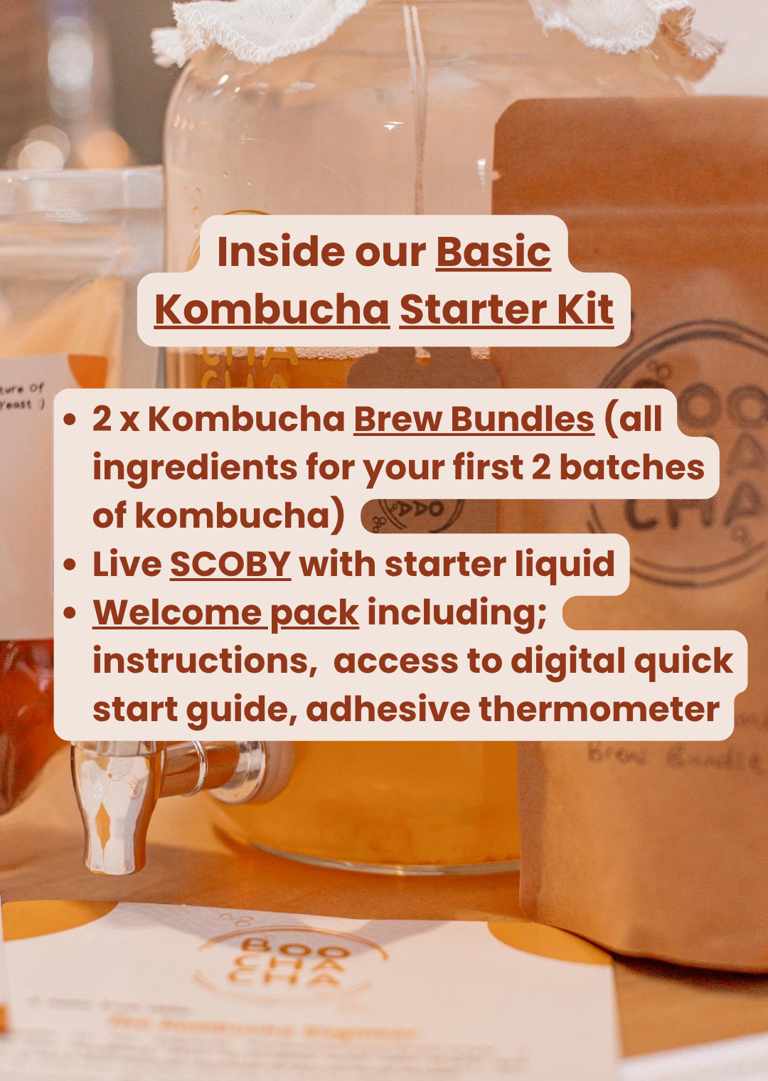 Basic Kombucha Starter Kit