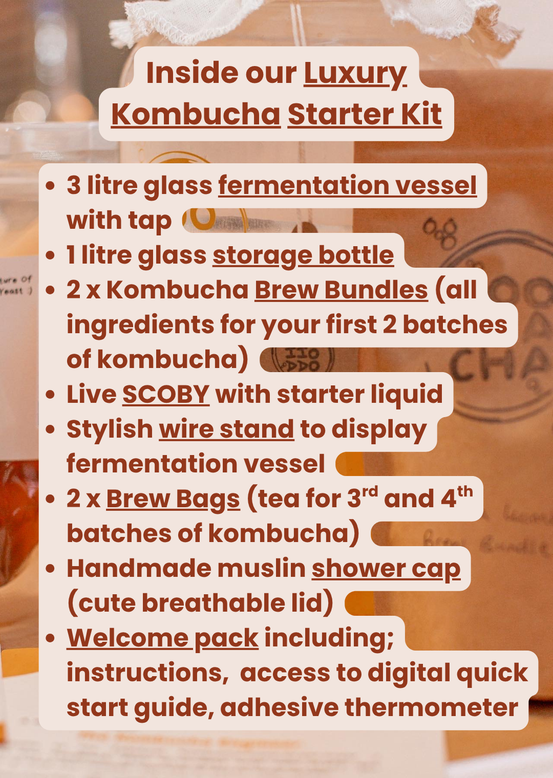 Luxury Kombucha Starter Kit - Gift Set