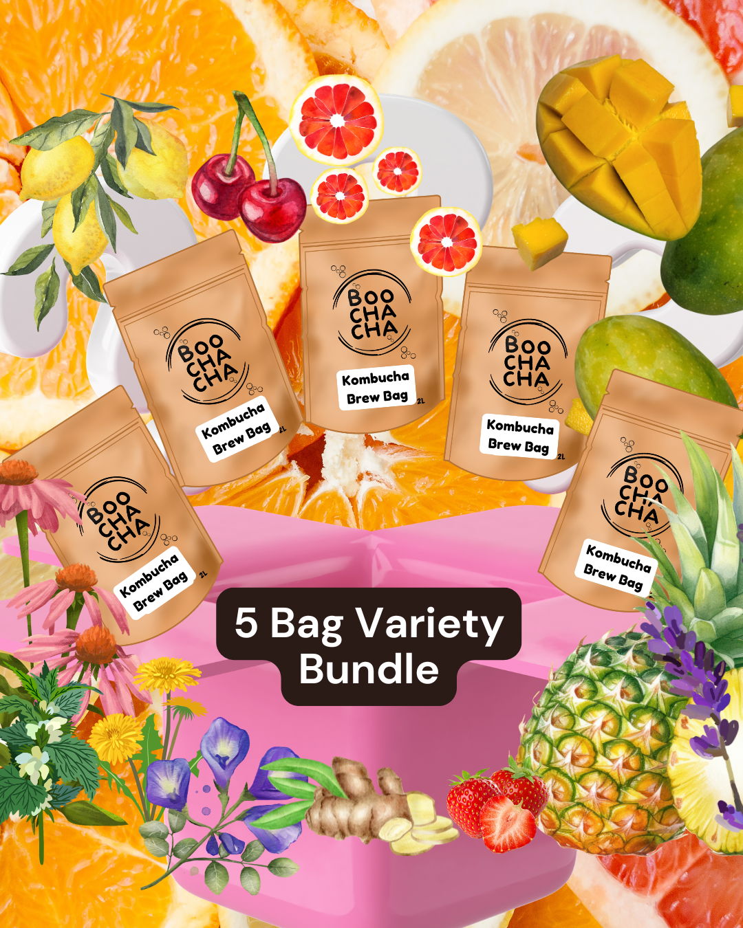 Five Kombucha Brew-Bag Bundle