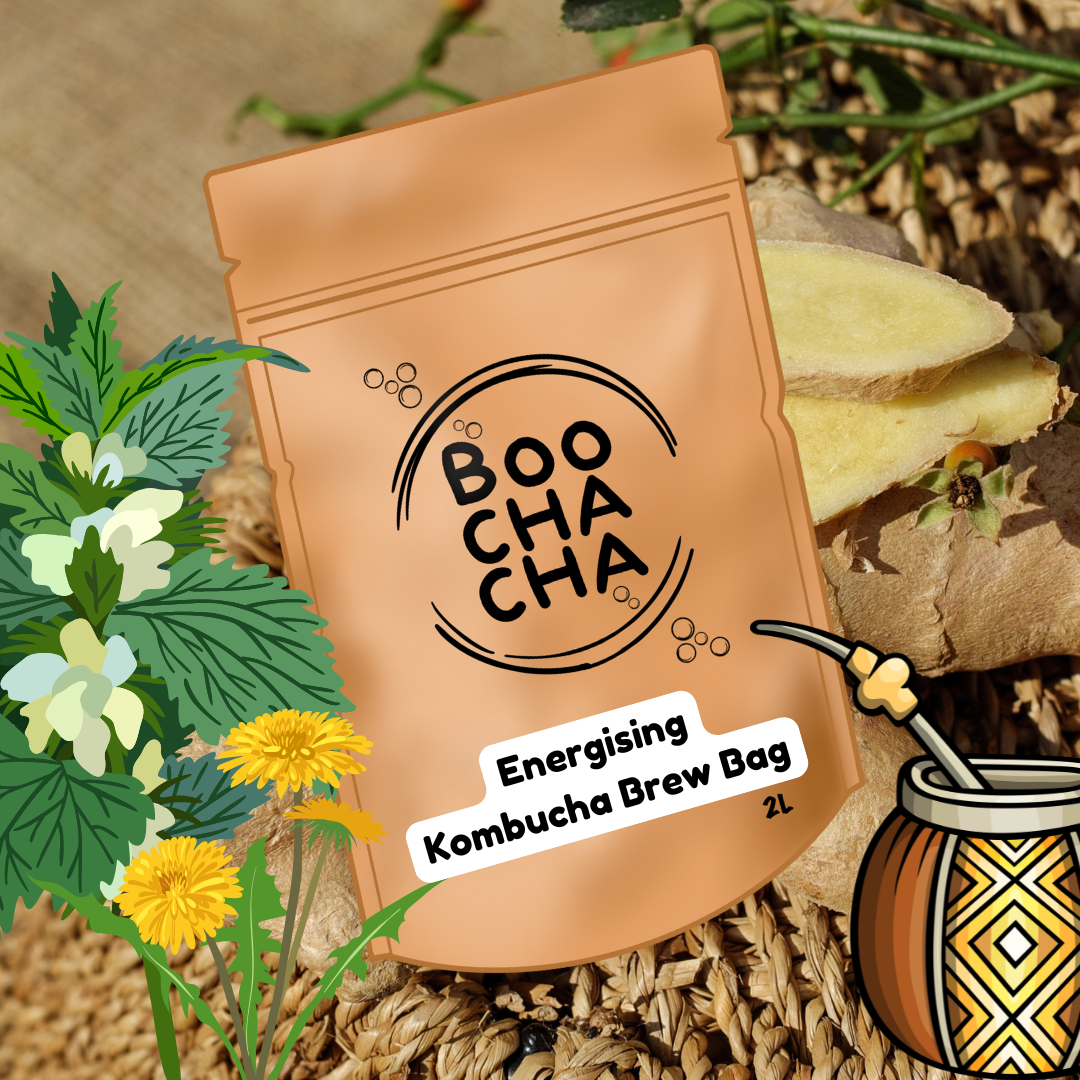 Boo Cha Energising Kombucha Brew Bag – BooChaCha Ltd