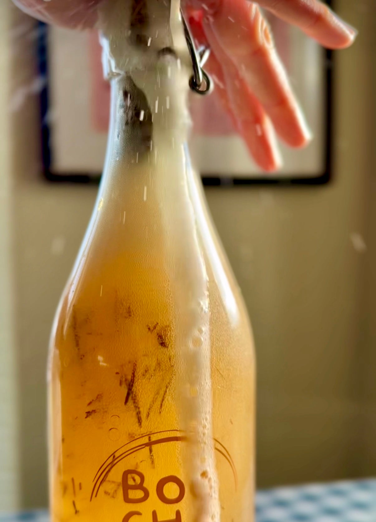 The Fizzy Kombucha Workshop