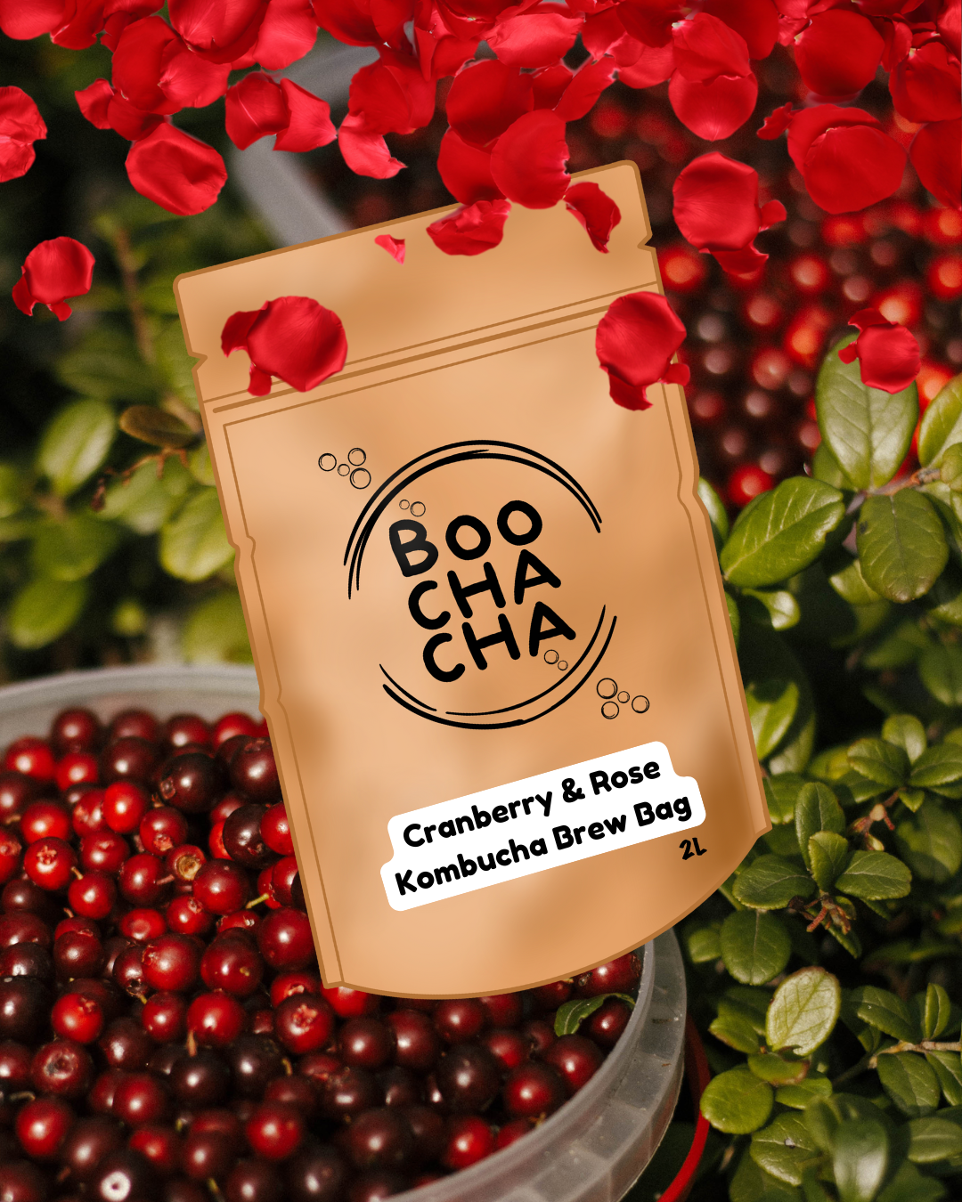 BoochaCha kombucha tea brew bag surrounded by cranberries and rose petals
