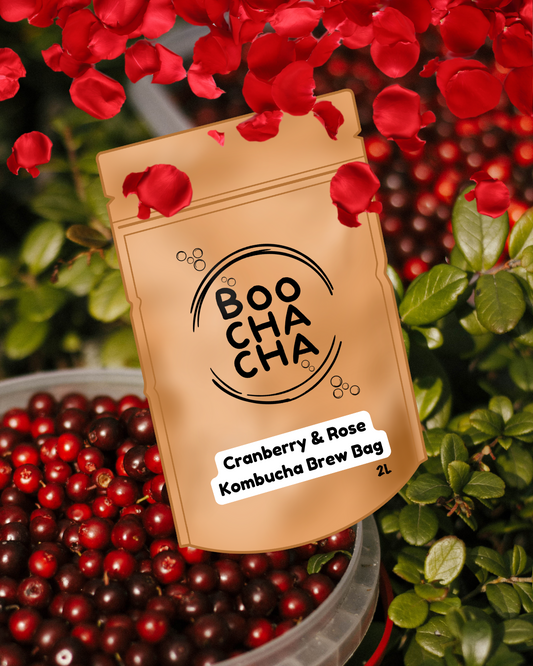 BoochaCha kombucha tea brew bag surrounded by cranberries and rose petals