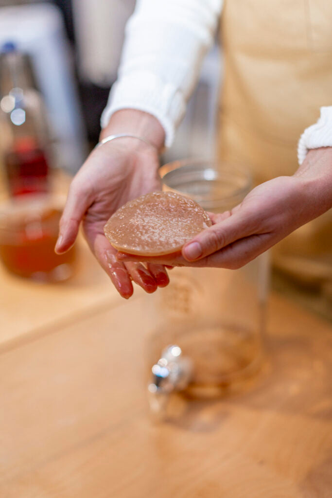 fresh healthy kombucha scoby in hands as demo for workshop, teaching people to brew kombucha at home, kombucha workshop
