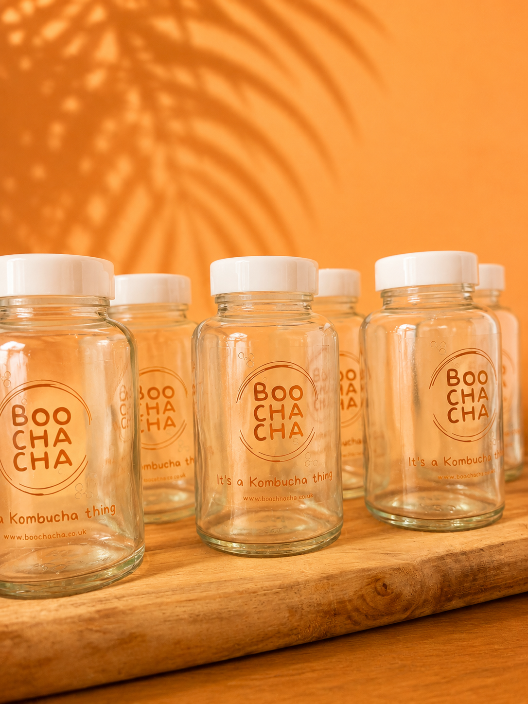 Six Mini Glass Wellness Shot Bottles 120ml