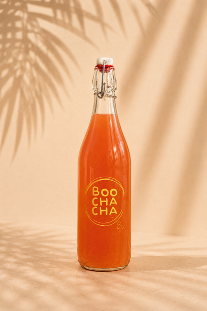 Flavouring Your Kombucha Bundle