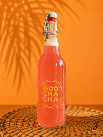 Clip Top 500ml Glass Bottle