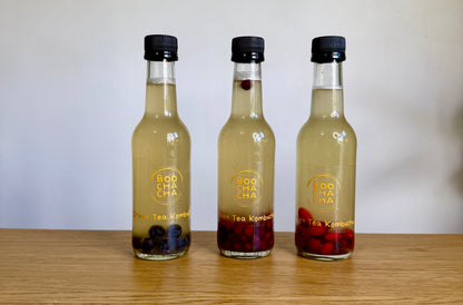 Kombucha To Go Bottle Pack