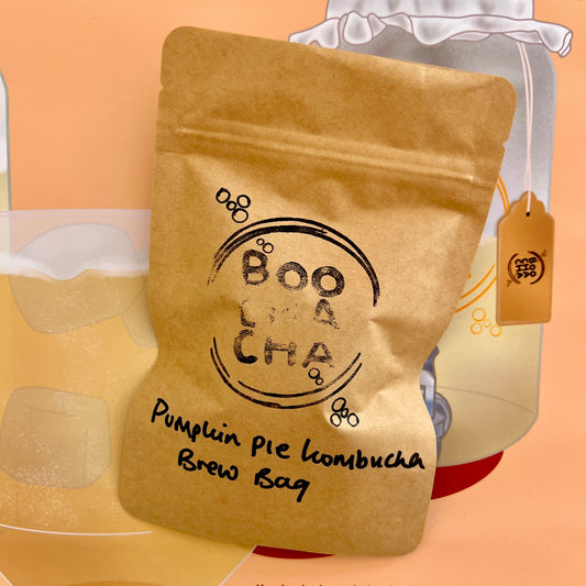 Pumpkin Pie Kombucha Brew Bag