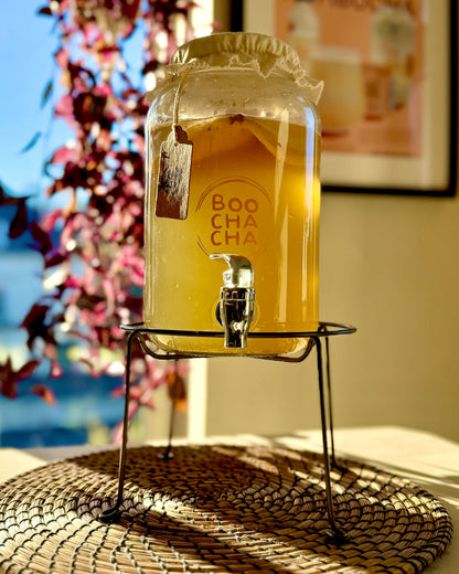 Luxury Kombucha Starter Kit - Gift Set
