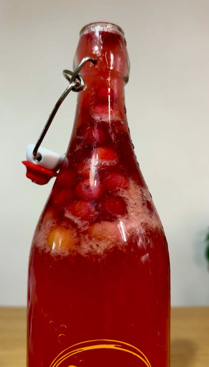 The Fizzy Kombucha Workshop