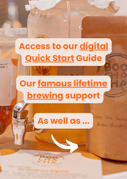 Complete Kombucha Starter Kit